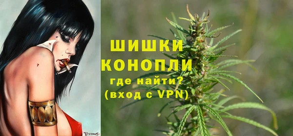 ECSTASY Богородск