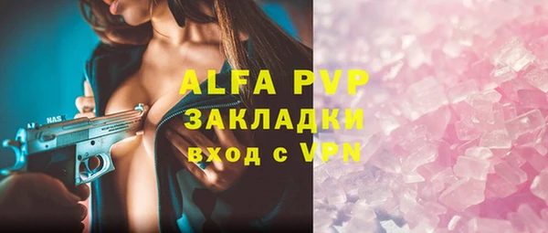 ECSTASY Богородск
