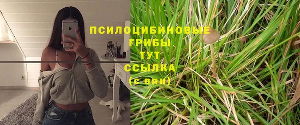 ECSTASY Богородск