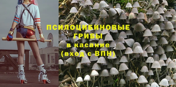 COCAINE Богородицк