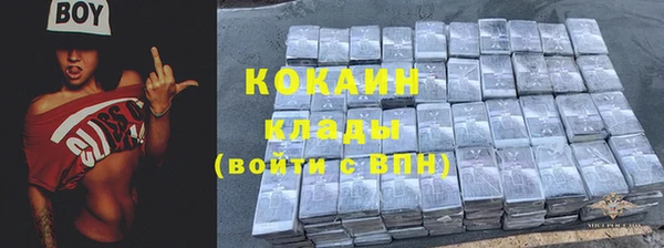 COCAINE Богородицк